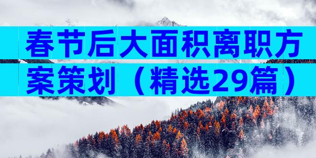 春节后大面积离职方案策划（精选29篇）
