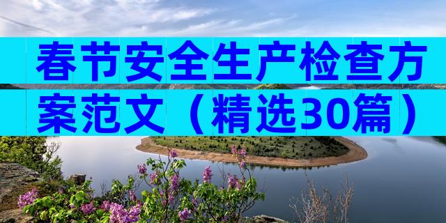 春节安全生产检查方案范文（精选30篇）