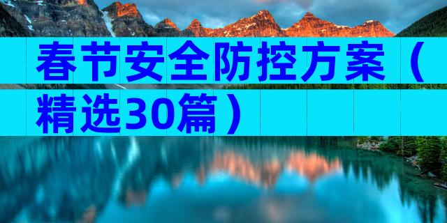 春节安全防控方案（精选30篇）