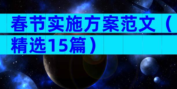 春节实施方案范文（精选15篇）
