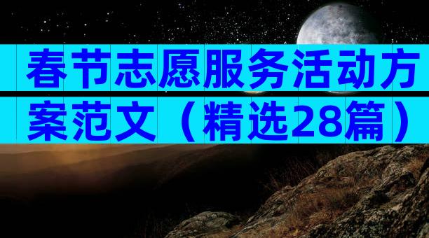 春节志愿服务活动方案范文（精选28篇）
