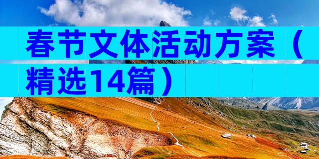 春节文体活动方案（精选14篇）