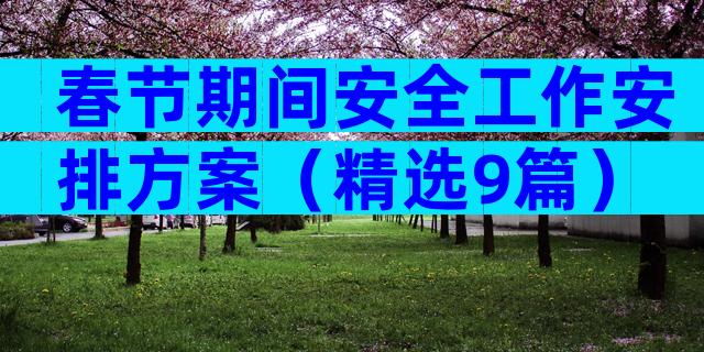 春节期间安全工作安排方案（精选9篇）