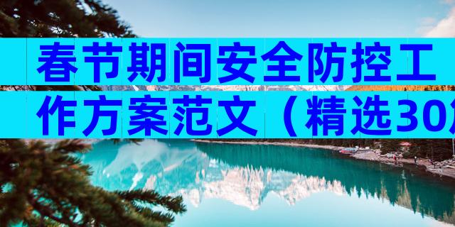 春节期间安全防控工作方案范文（精选30篇）