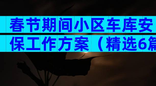春节期间小区车库安保工作方案（精选6篇）