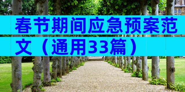 春节期间应急预案范文（通用33篇）