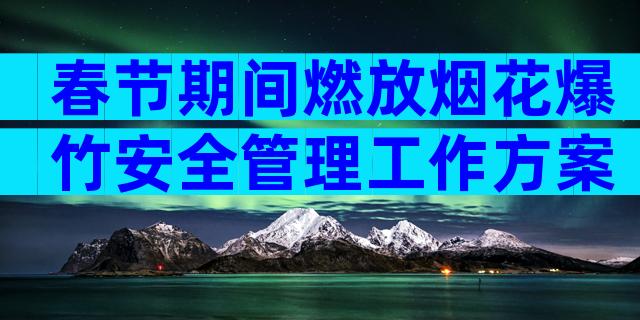 春节期间燃放烟花爆竹安全管理工作方案（精选12篇）