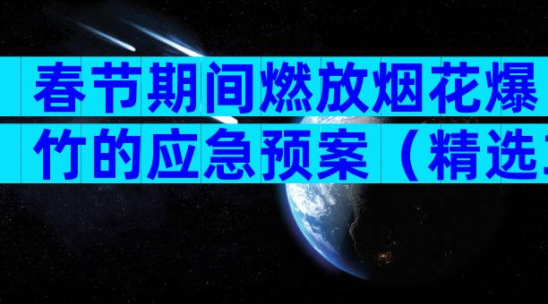春节期间燃放烟花爆竹的应急预案（精选31篇）