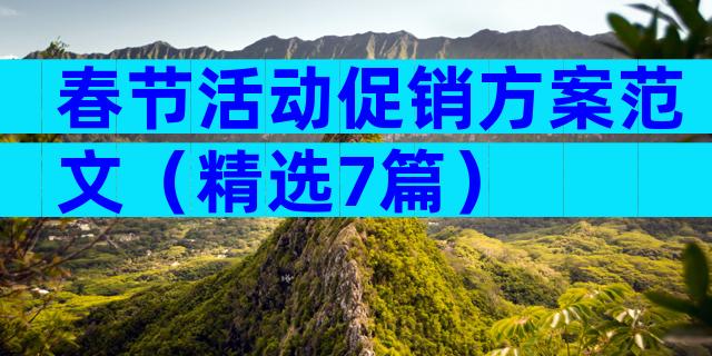春节活动促销方案范文（精选7篇）