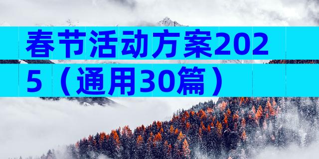 春节活动方案2025（通用30篇）