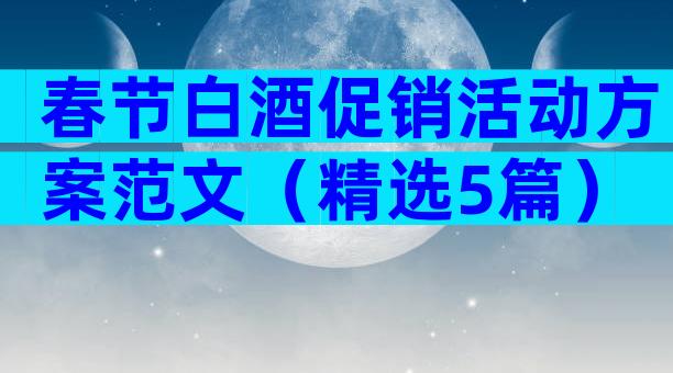 春节白酒促销活动方案范文（精选5篇）