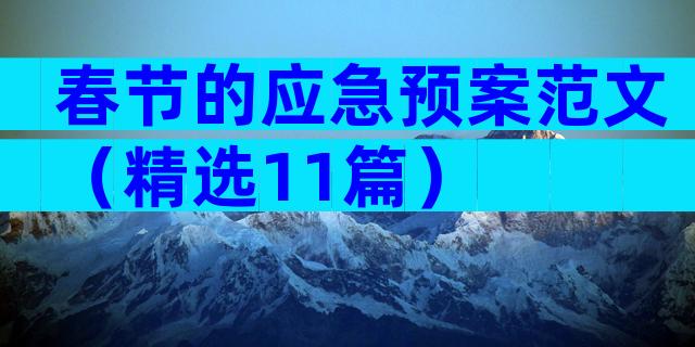 春节的应急预案范文（精选11篇）