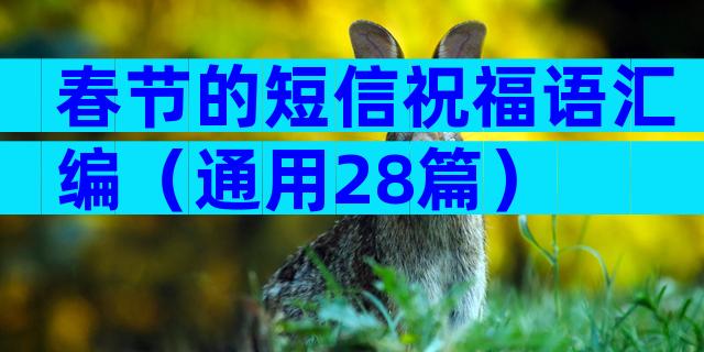春节的短信祝福语汇编（通用28篇）