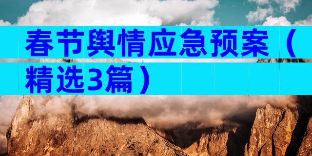 春节舆情应急预案（精选3篇）