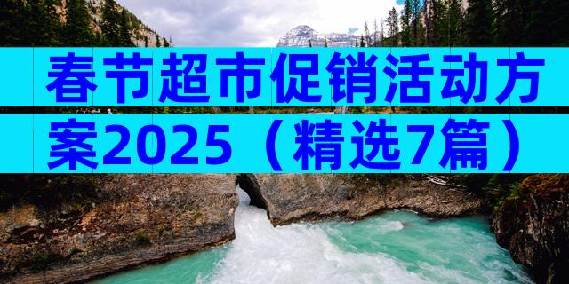 春节超市促销活动方案2025（精选7篇）