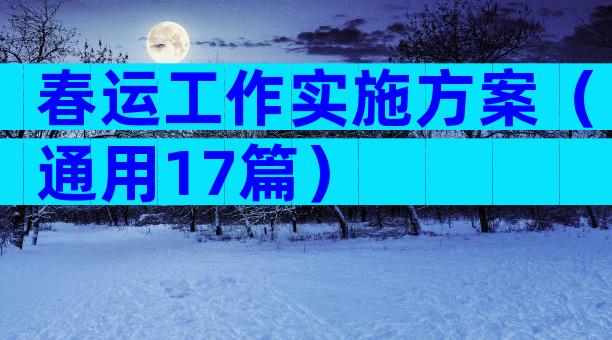 春运工作实施方案（通用17篇）