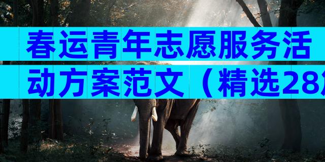 春运青年志愿服务活动方案范文（精选28篇）