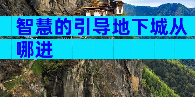 智慧的引导地下城从哪进