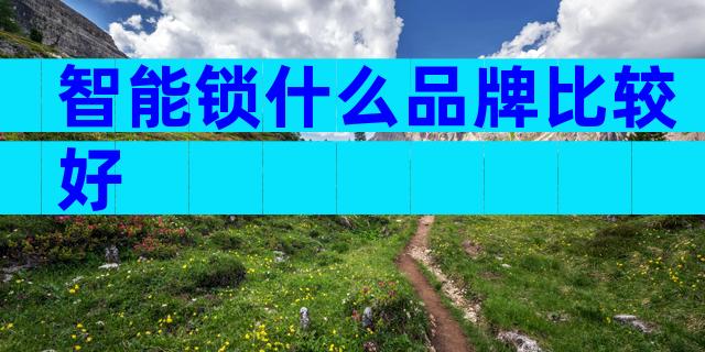 智能锁什么品牌比较好