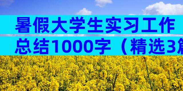 暑假大学生实习工作总结1000字（精选3篇）