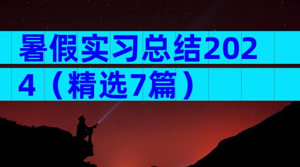 暑假实习总结2024（精选7篇）