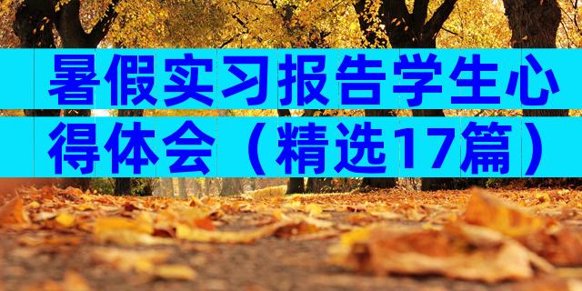 暑假实习报告学生心得体会（精选17篇）