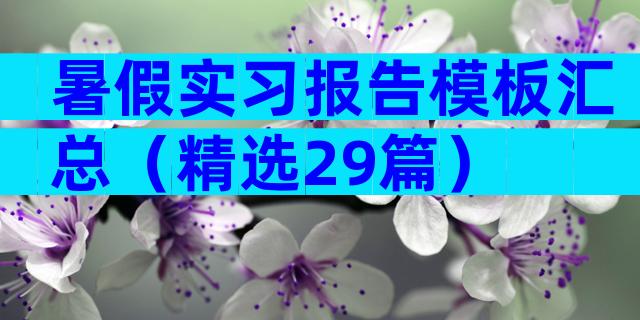 暑假实习报告模板汇总（精选29篇）