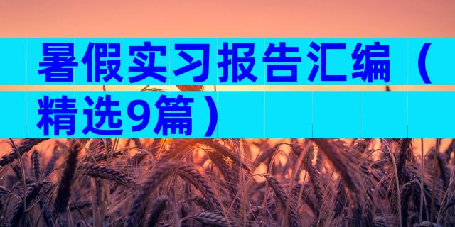 暑假实习报告汇编（精选9篇）