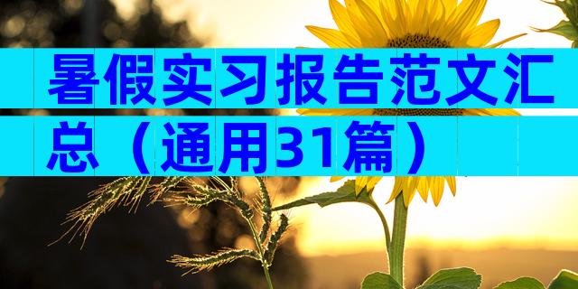 暑假实习报告范文汇总（通用31篇）