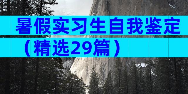暑假实习生自我鉴定（精选29篇）