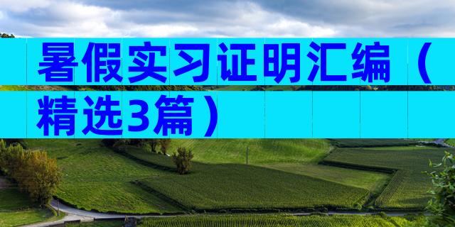 暑假实习证明汇编（精选3篇）