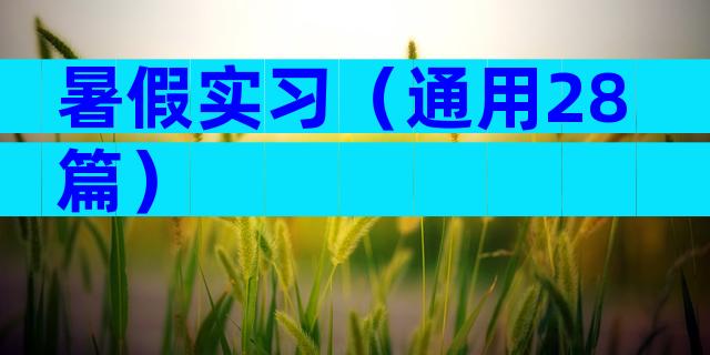 暑假实习（通用28篇）