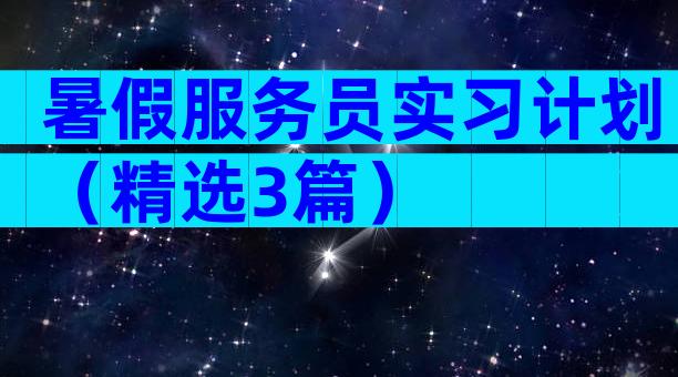暑假服务员实习计划（精选3篇）