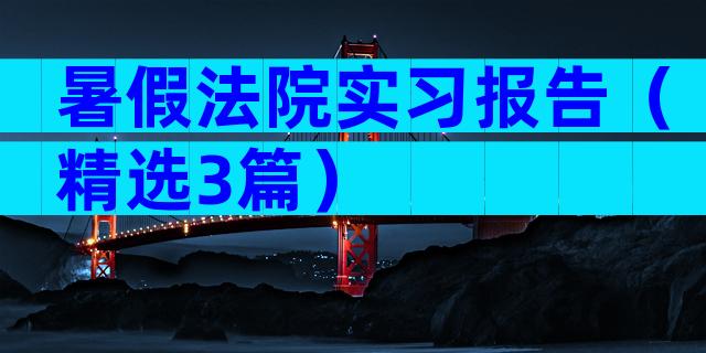 暑假法院实习报告（精选3篇）