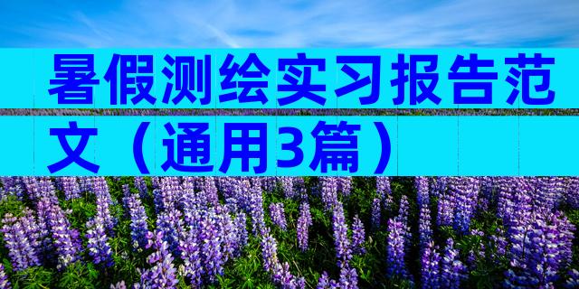 暑假测绘实习报告范文（通用3篇）