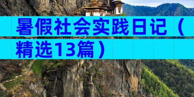 暑假社会实践日记（精选13篇）