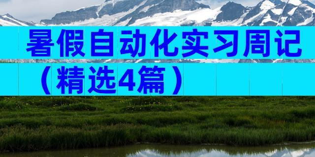 暑假自动化实习周记（精选4篇）