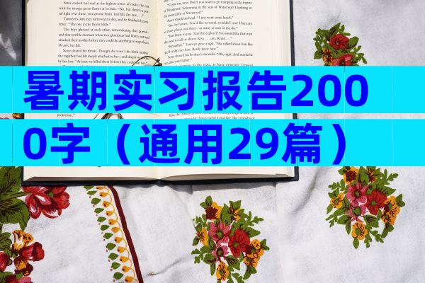 暑期实习报告2000字（通用29篇）