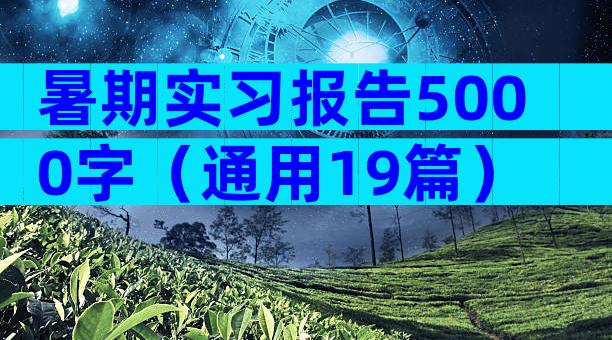 暑期实习报告5000字（通用19篇）