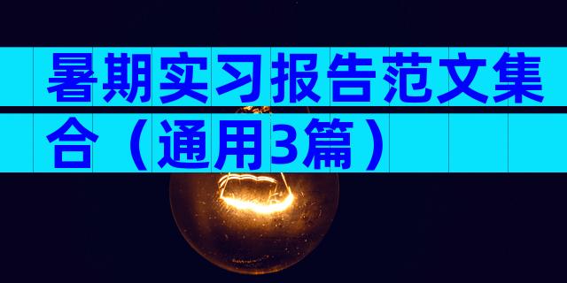 暑期实习报告范文集合（通用3篇）