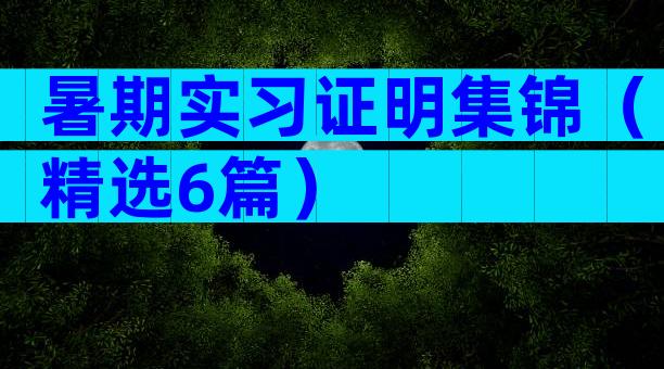 暑期实习证明集锦（精选6篇）