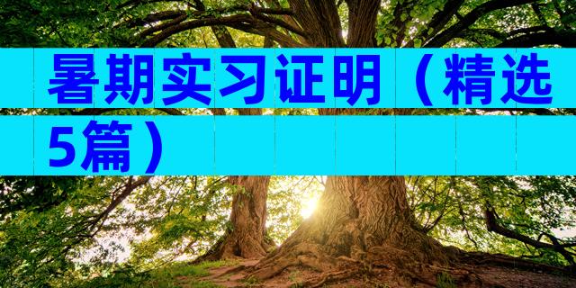 暑期实习证明（精选5篇）