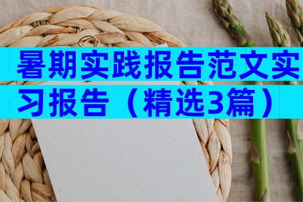 暑期实践报告范文实习报告（精选3篇）