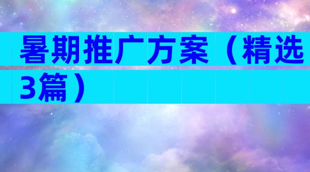暑期推广方案（精选3篇）