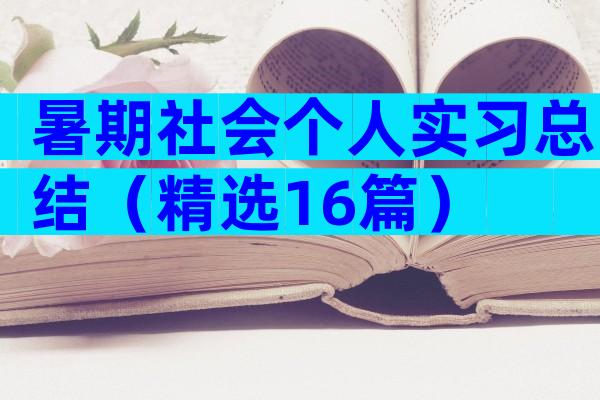 暑期社会个人实习总结（精选16篇）
