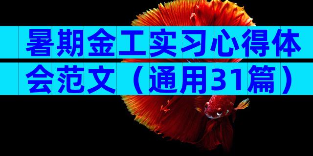 暑期金工实习心得体会范文（通用31篇）