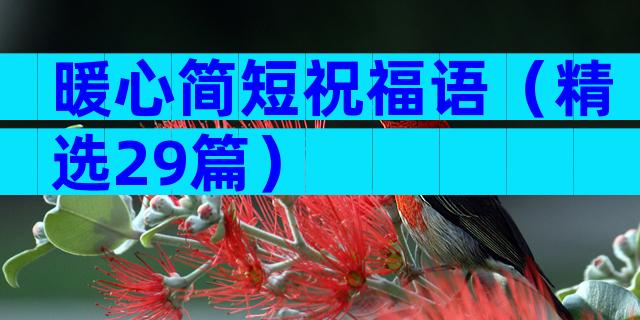 暖心简短祝福语（精选29篇）