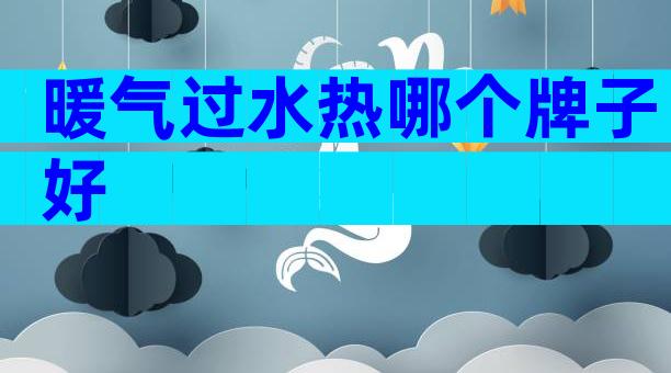 暖气过水热哪个牌子好