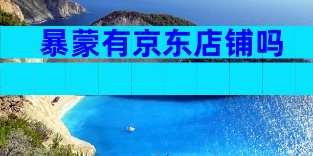 暴蒙有京东店铺吗
