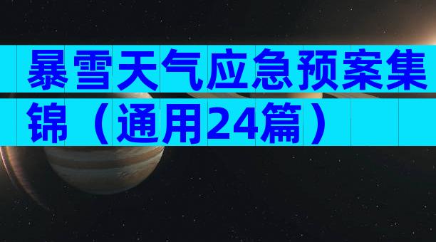 暴雪天气应急预案集锦（通用24篇）
